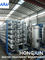 usine Ultrapure de purification d'eau de PLC HMI de 220V 380V
